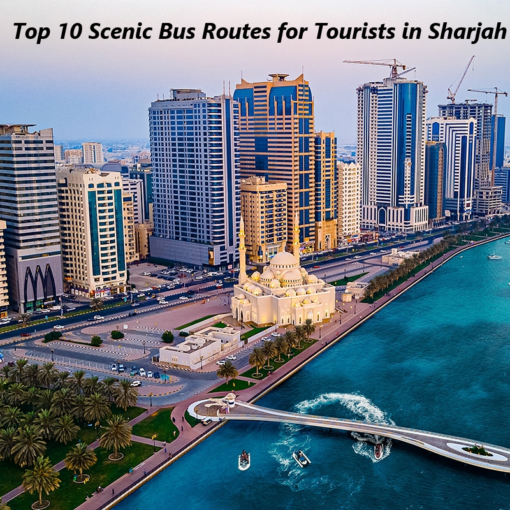 Bus Routes for Tourists in Sharjah